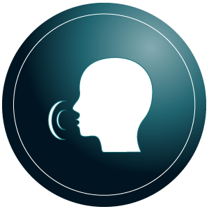 An icon that represents the voice control feature